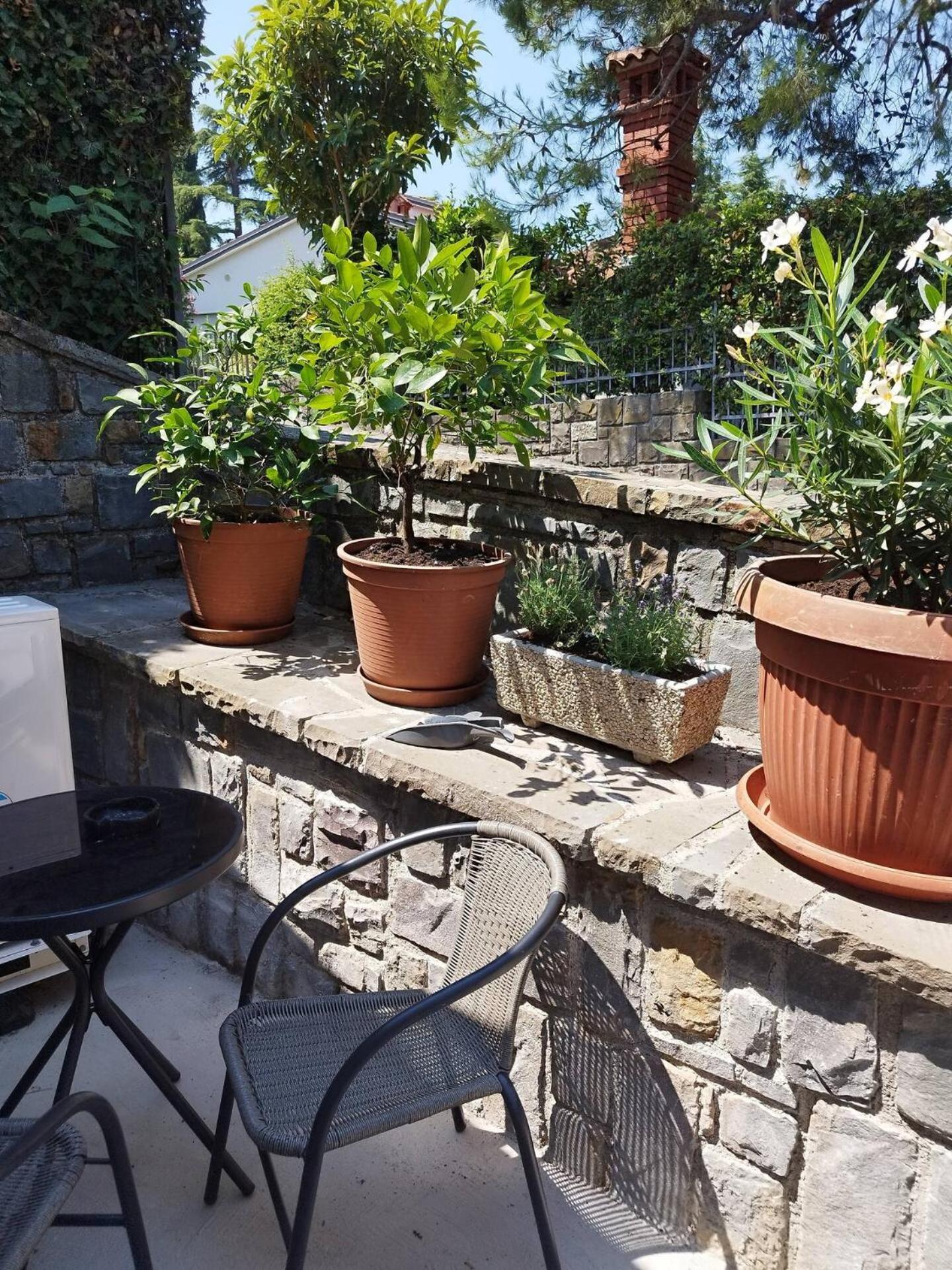 Apartma Edra - Zusterna Appartement Koper